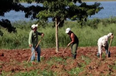 Foto: JNorge Luis Baños